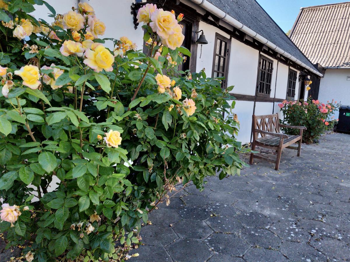 Viby Dastrup Bed & Breakfast المظهر الخارجي الصورة